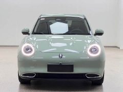 ORA Good Cat 401km Standard Range Luxury LFP - ფოტო 2