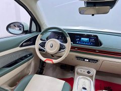 ORA Good Cat 401km Standard Range Luxury LFP - ფოტო 20