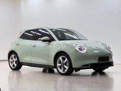ORA Good Cat 401km Standard Range Luxury LFP - ფოტო 3