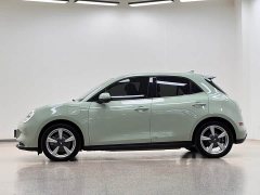 ORA Good Cat 401km Standard Range Luxury LFP - ფოტო 4