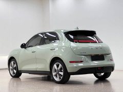 ORA Good Cat 401km Standard Range Luxury LFP - ფოტო 5