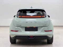 ORA Good Cat 401km Standard Range Luxury LFP - ფოტო 6