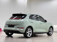 ORA Good Cat 401km Standard Range Luxury LFP - ფოტო 7