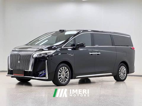 2025 WEY Shanshan New Energy Four-Wheel Drive Shanshan 9