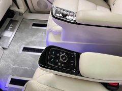 Great Wall WEY Shanshan New Energy Four-Wheel Drive Shanshan 9 - ფოტო 20