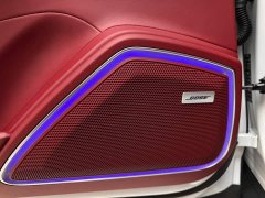 Porsche Panamera 4 Executive Extended Wheelbase 2.9T - ფოტო 16