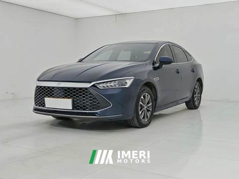 2023 BYD Qin PLUS Champion Edition DM-i 55KM Leading