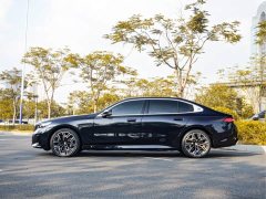 BMW 5 Series 530Li Luxury M Sport Package - ფოტო 5