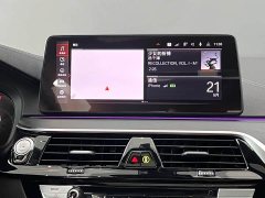 BMW 5 Series 530Li Premier M Sport Package - ფოტო 15