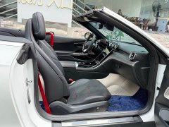 Mercedes-Benz Mercedes-AMG CLE 53 4MATIC Cabriolet - ფოტო 18