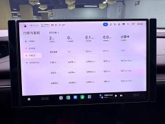 Xiaomi SU7 2024 Rear-Wheel Drive Ultra-Long Range Advanced Autonomous Driving Pro - ფოტო 13