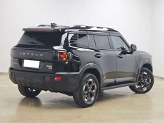 Jetour Jietu Liberator 2.0TD XWD Conquest - ფოტო 4