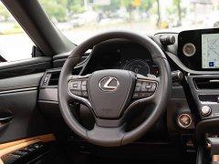 Lexus ES 2022 300h Premium Edition - ფოტო 14