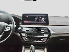 BMW 5 Series 530Li xDrive Luxury Package - ფოტო 12