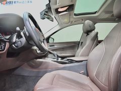 BMW 5 Series 530Li xDrive Luxury Package - ფოტო 7