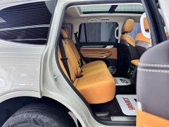 Tank 500 2022 3.0T Business Edition Landscape Trim 5-Seater - ფოტო 19