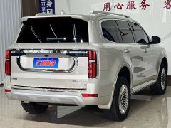 Tank 500 2022 3.0T Business Edition Landscape Trim 5-Seater - ფოტო 4