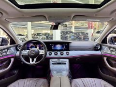 Mercedes-Benz CLS 300 AMG Dynamic - ფოტო 14