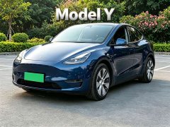 Tesla Model Y 2021 Standard Range RWD - ფოტო 1