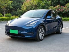 Tesla Model Y 2021 Standard Range RWD - ფოტო 11