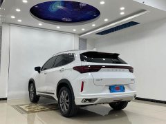 Chery Chitu Zhuifeng 2022 Riding the Wind and Waves Edition 1.5T CVT Good Fortune Peanut Edition - ფოტო 16