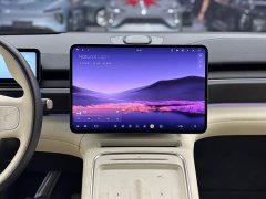 NIO ES6 75kWh - ფოტო 15