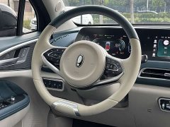 ORA Good Cat 400km Standard Range Athena Edition Ternary Lithium - ფოტო 15