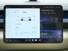 NIO ES8 Five-Seat Executive Luxury Edition - ფოტო 7