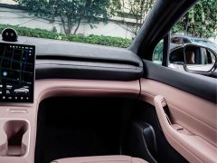 NIO EC6 75kWh - ფოტო 18