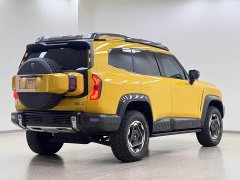 Deepal Deep Blue G318 Worry-Free Adventure Edition Four-Wheel Drive Mystic Realm Edition - ფოტო 6
