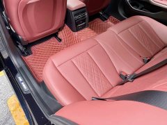 BMW 3 Series 325Li M Sport Midnight Edition Package - ფოტო 16