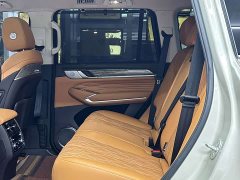 Tank 500 2022 3.0T Business Edition Landscape Trim 5-Seater - ფოტო 11