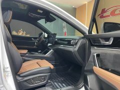 BYD Tang New Energy 2021 DM-i 112KM Premium Edition - ფოტო 11