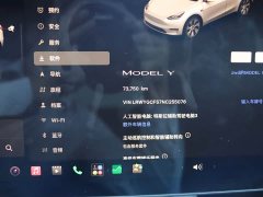 Tesla Model Y Facelift Rear-Wheel Drive - ფოტო 17