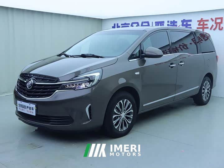 Buick GL8 Land Executive Cabin 652T Luxury