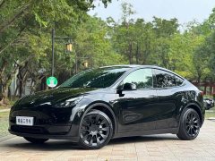 Tesla Model Y 2022 Facelift Rear-Wheel Drive - ფოტო 1