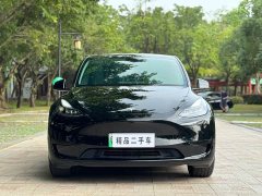 Tesla Model Y 2022 Facelift Rear-Wheel Drive - ფოტო 2