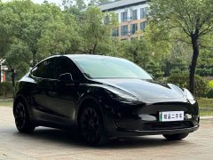 Tesla Model Y 2022 Facelift Rear-Wheel Drive - ფოტო 3