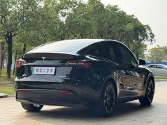 Tesla Model Y 2022 Facelift Rear-Wheel Drive - ფოტო 8