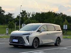 Buick GL8 Luzun Respect Edition - ფოტო 1