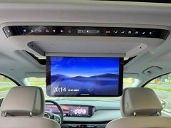 Buick GL8 Luzun Respect Edition - ფოტო 18