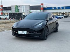 Tesla Model Y High Performance All-Wheel Drive - ფოტო 1