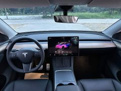 Tesla Model Y High Performance All-Wheel Drive - ფოტო 10
