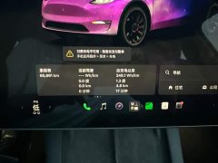 Tesla Model Y High Performance All-Wheel Drive - ფოტო 11