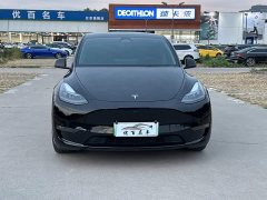 Tesla Model Y High Performance All-Wheel Drive - ფოტო 2