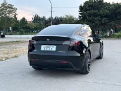 Tesla Model Y High Performance All-Wheel Drive - ფოტო 6