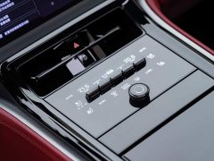 Porsche Panamera 2.9T - ფოტო 15