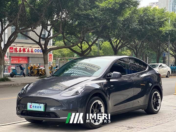 Tesla Model Y Rear-Wheel Drive - ავტომობილი ჩინეთიდან