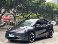 Tesla Model Y Rear-Wheel Drive - ფოტო 1