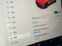 Tesla Model Y Rear-Wheel Drive - ფოტო 13